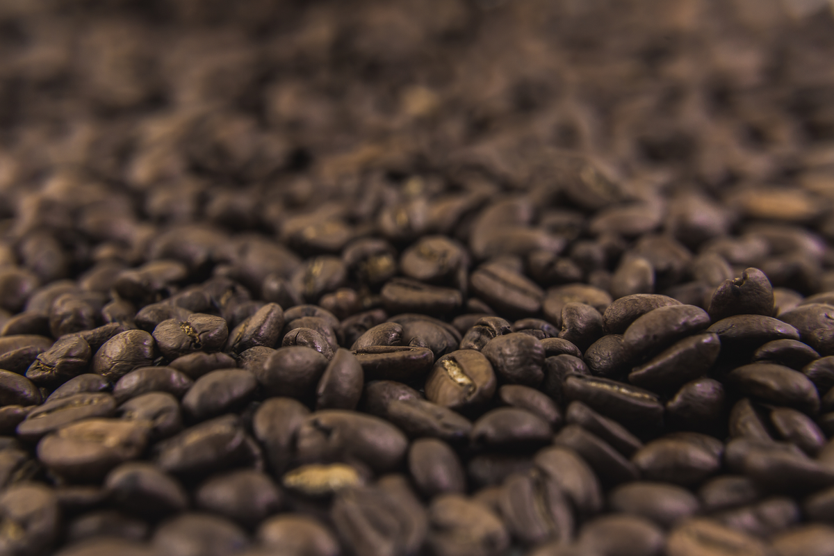 Vers gebrande koffiebonen van Man met de Baard, klaar voor een sterke start na de vakantie