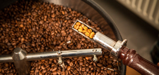 Bij koffiebranderij Man met de Baard branden wij onze koffies op een ambachtelijke wijze zodat de smaak ultiem tot zijn recht komt. 