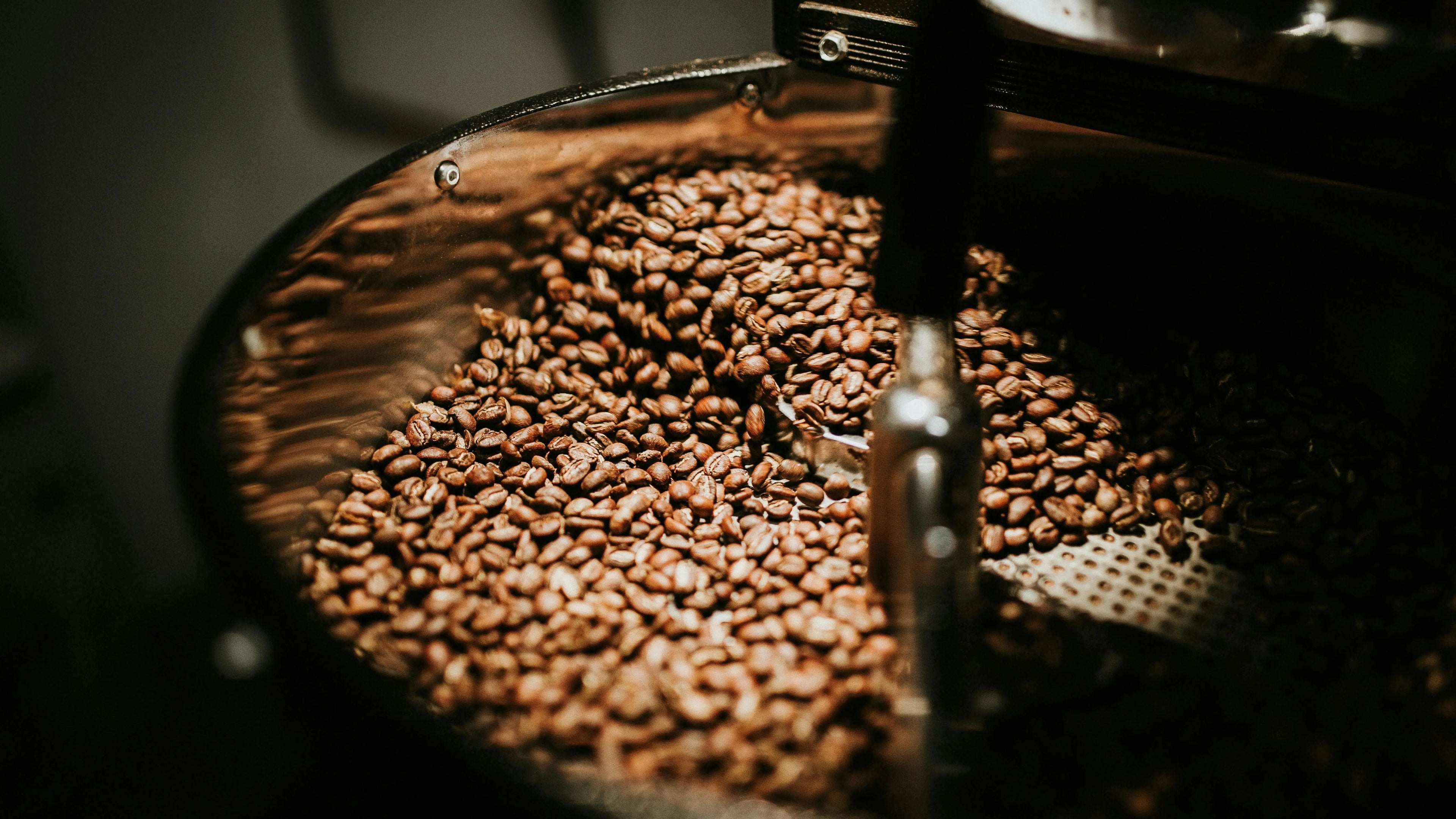 Vers gebrande bonen van koffiebranderij Man met de Baard