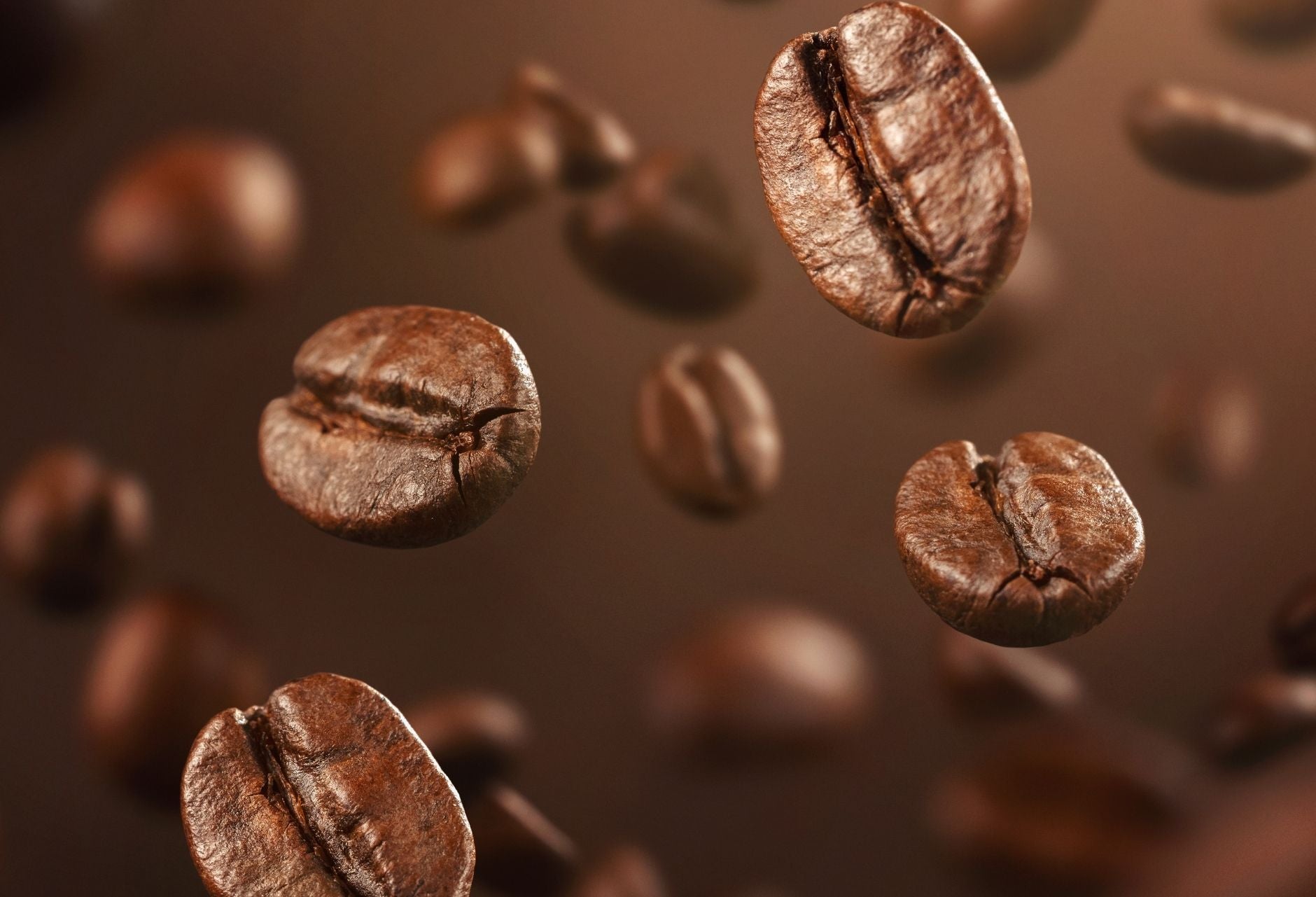 Vers gerbrande koffiebonen van koffiebranderij Man met de Baard