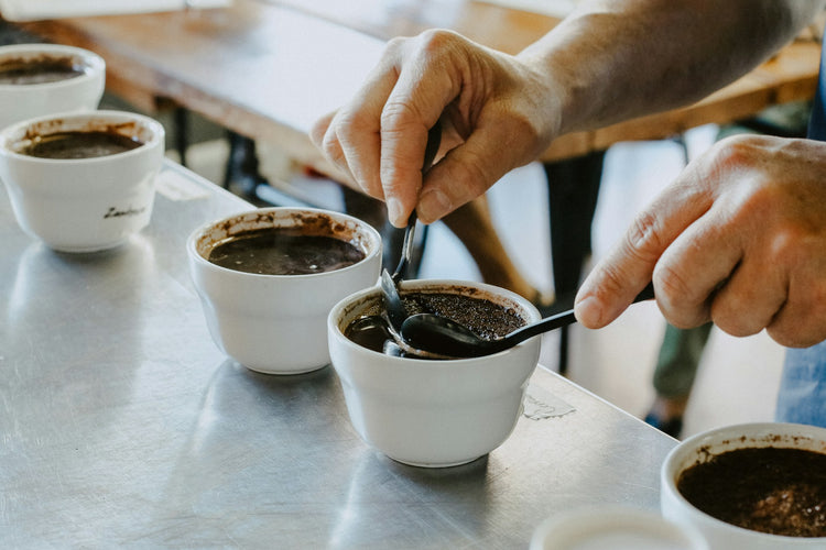 Medewerker is het koffie cuppingsproces aan het uitvoeren - hiermee wordt de kwaliteit van de koffie beoordeeld