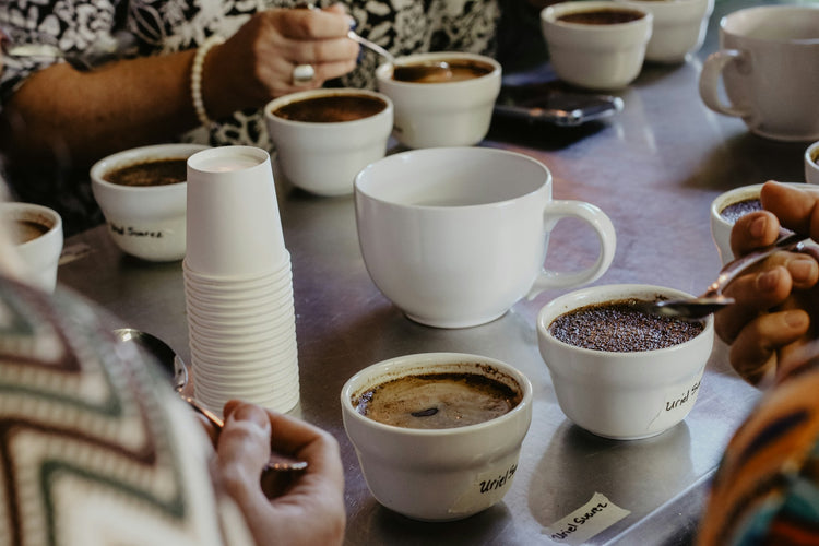 Verschillende koffie's die aan het SCA cuppings beoordelingsproces worden onderworpen